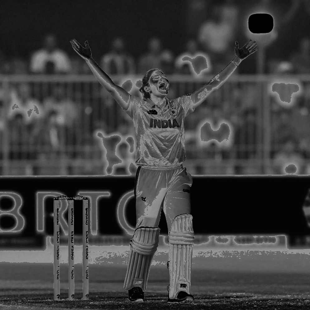 কৃৎসুৎসু: জাপানের ক্রিকেটের নিরিবিলি রাস্তা